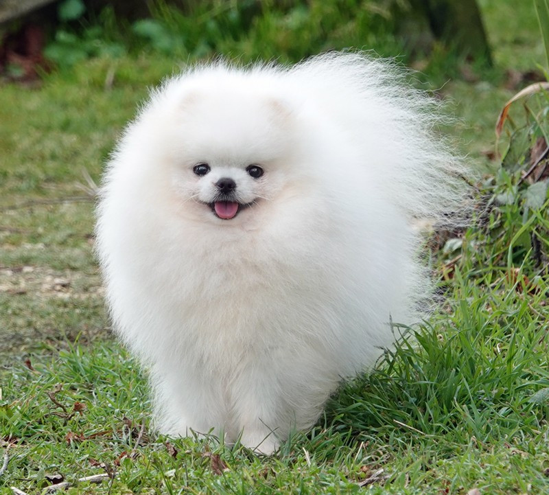 Via Col Vento D'Arlande